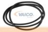 VAICO V20-1202 Seal, door window